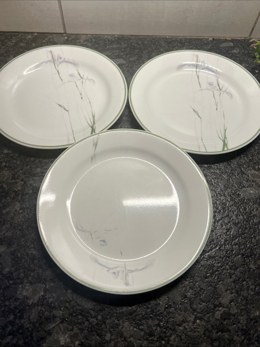 Corelle 7” White Salad Plates SHADOW IRIS. 1 FREE since faded.